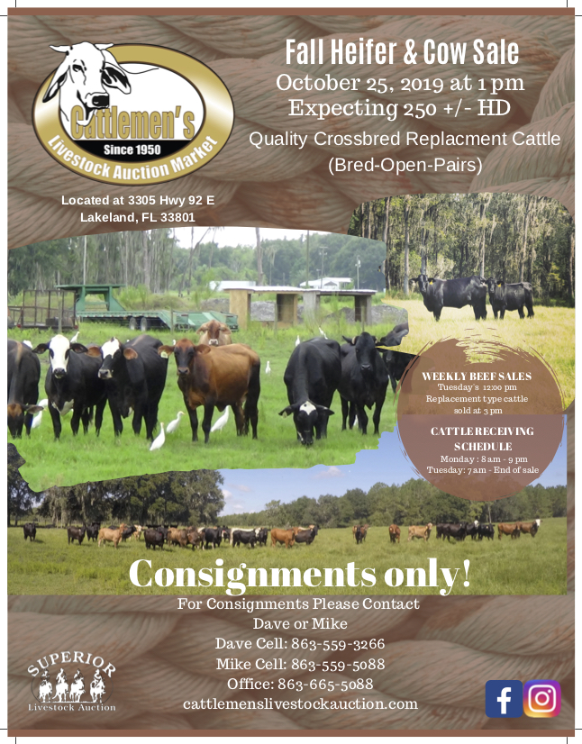 Special Events | Cattlemen's Livestock Auction Market